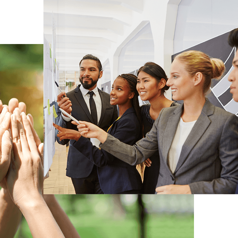 2ximg-public-and-non-governmental-organisations