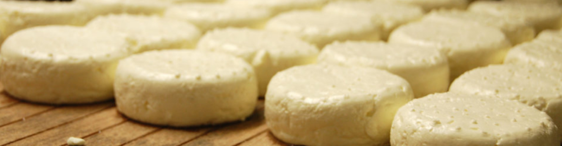 Lactalis jobbillede