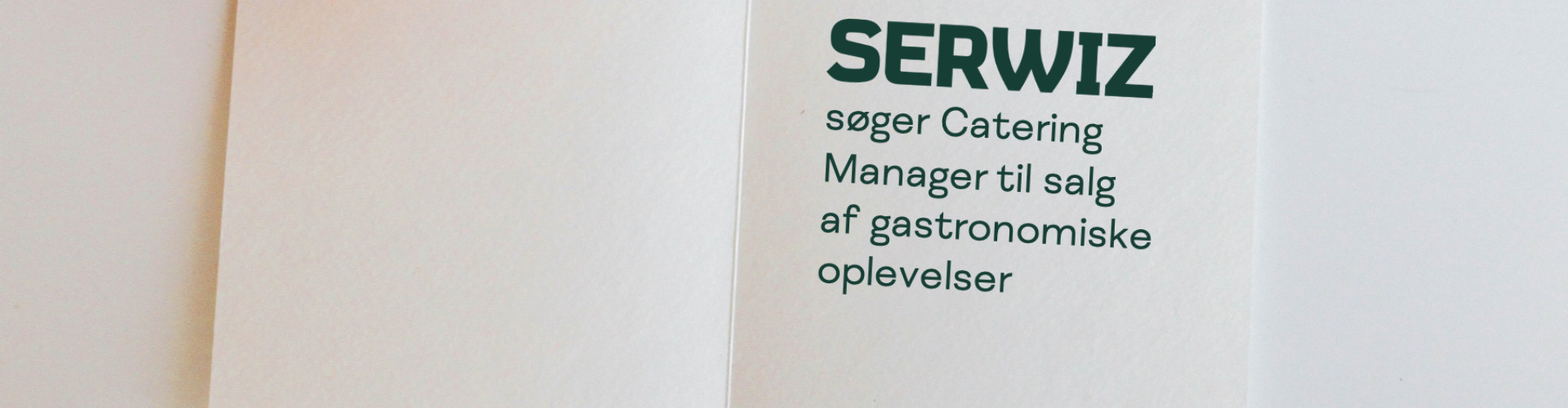 SERWIZ jobbillede