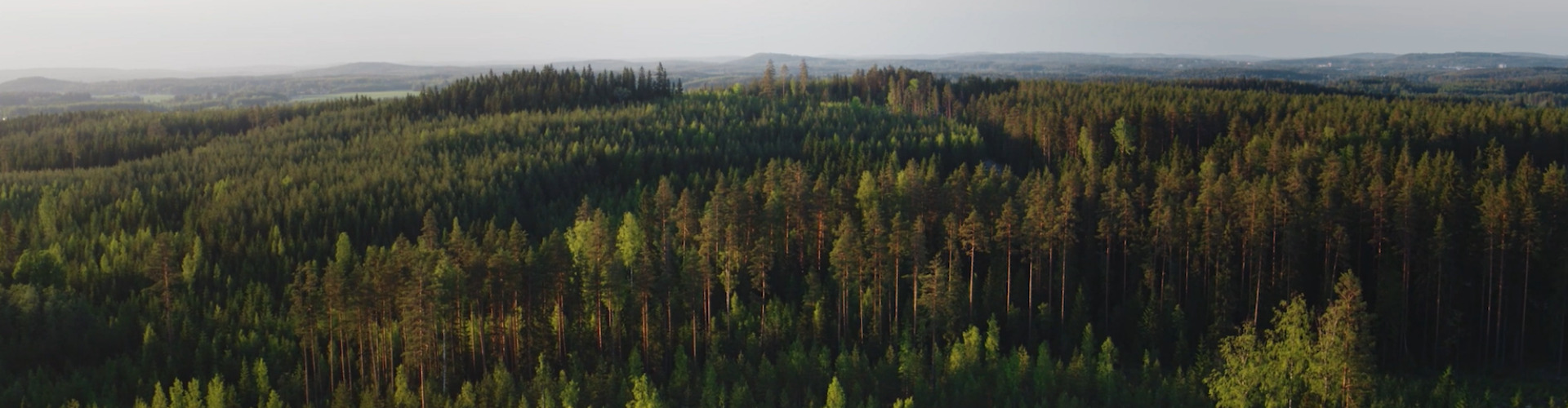 Metsä Group