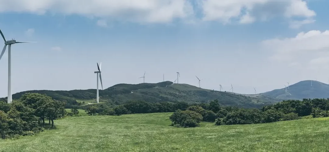 Vind kampen om energispecialisterne