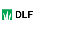DLF