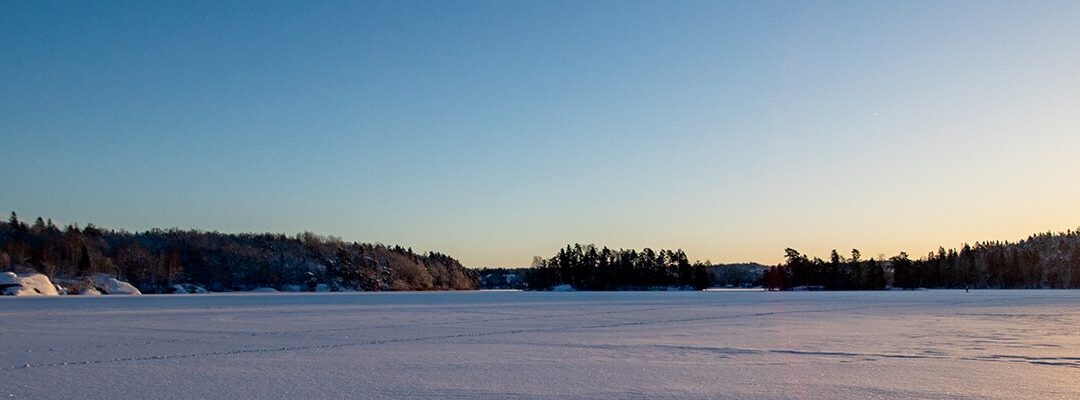Executive search in the Public sector: Huddinge Municipality in Sweden